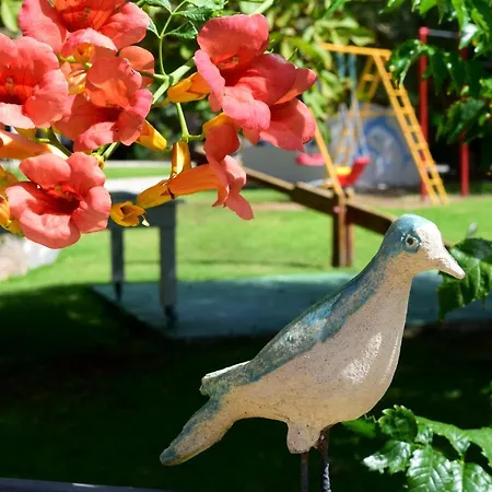 Appartement Simatos αpartments & Argostóli