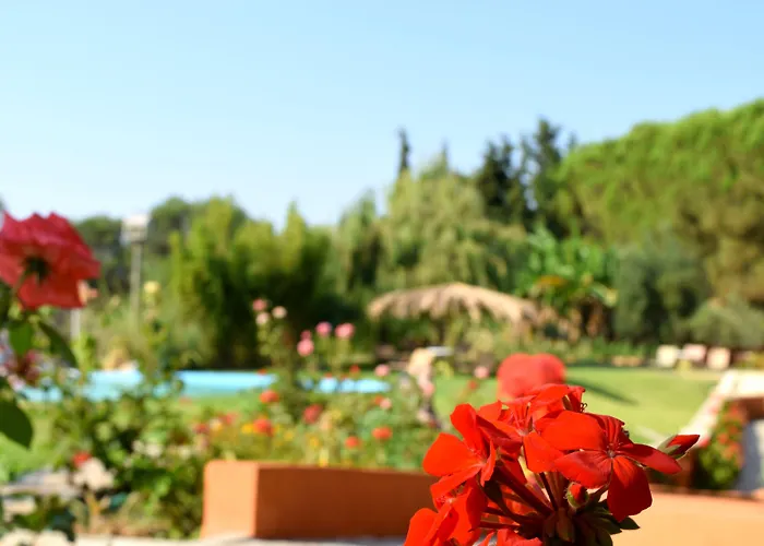 Simatos αpartments & Argosztóli